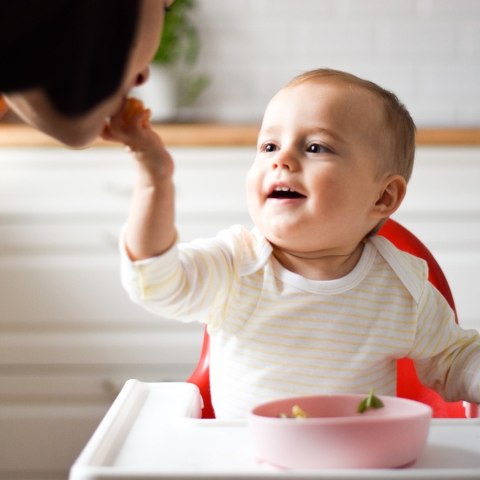 Miseczka-Talerzyk Doidy Bowl z przyssawką - szary