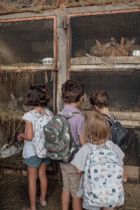 My Bag's Plecak dziecięcy Dino's