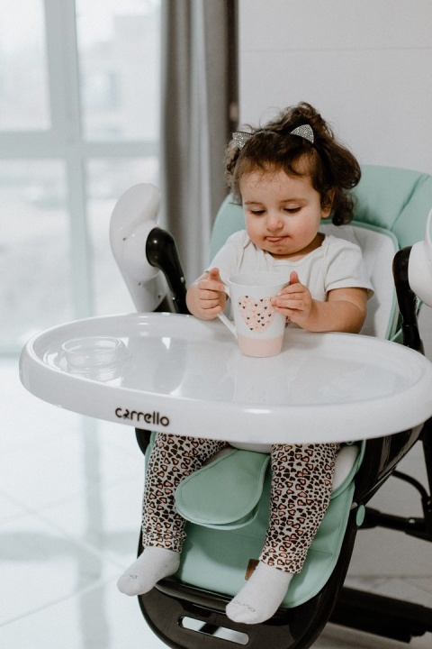 Cascata Carrello krzesełko do karmienia, elektryczny bujaczek, kołyska - Ash Grey