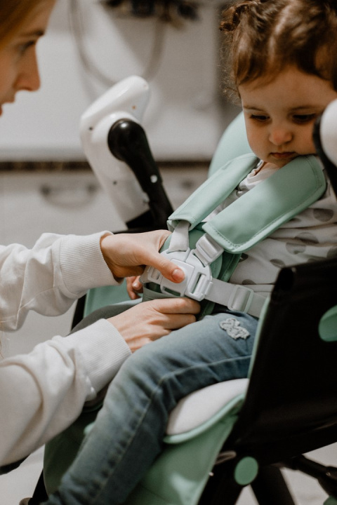 Cascata Carrello krzesełko do karmienia, elektryczny bujaczek, kołyska - Azure Green