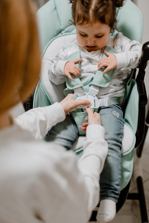 Cascata Carrello krzesełko do karmienia, elektryczny bujaczek, kołyska - Azure Green