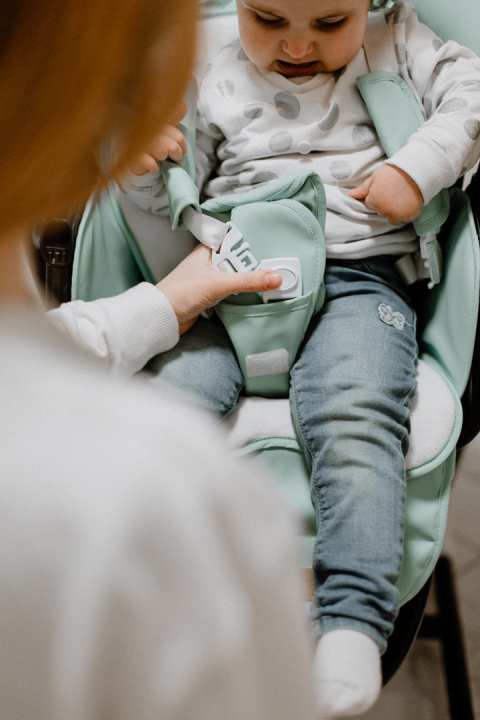 Cascata Carrello krzesełko do karmienia, elektryczny bujaczek, kołyska - Azure Green