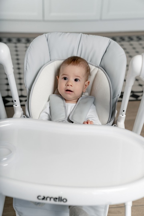 Triumph Carrello krzesełko do karmienia, elektryczny bujaczek, kołyska - Palette Grey